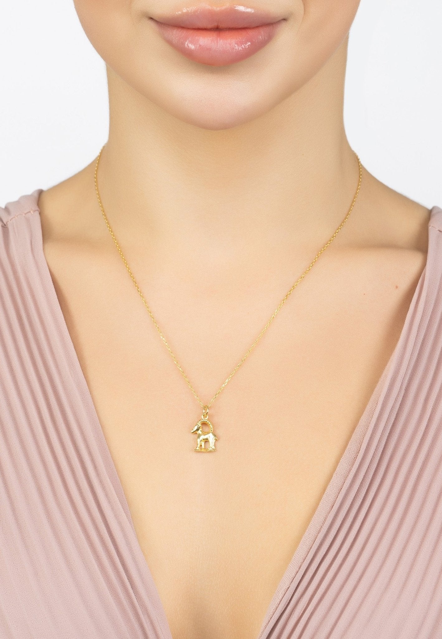 Zodiac Star Sign Necklace Gold Capricorn